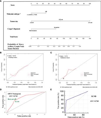 Identification of the lymph node metastasis-related automated breast volume scanning features for predicting axillary lymph node tumor burden of invasive breast cancer via a clinical prediction model